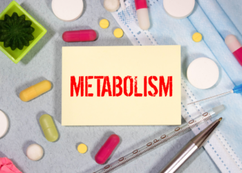 Increase-Your-Metabolism