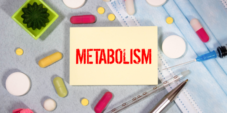 Increase-Your-Metabolism